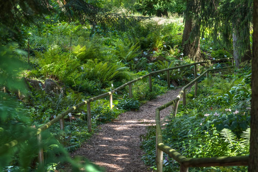 Porta - Der Weg - Psychotherapie