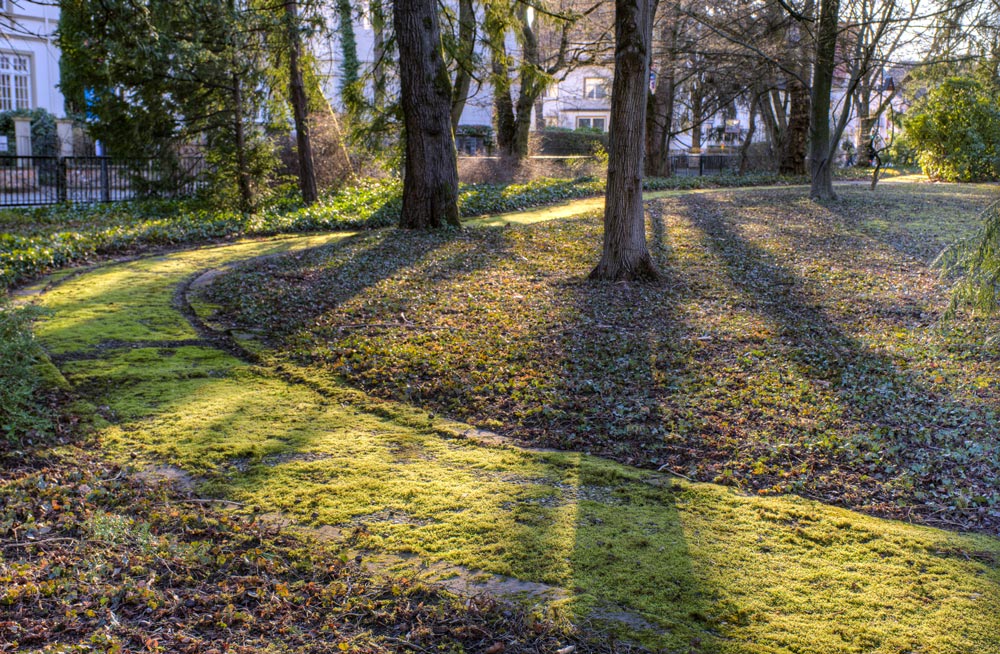 Porta - Der Weg - Psychotherapie