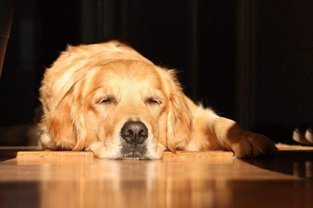 Via - der Weg DER ERSTE SCHRITT IN EINE PSYCHOTHERAPIE IST OFT NICHT EINFACH.